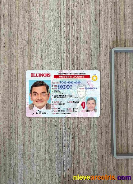 USA Illinois driving license photolook